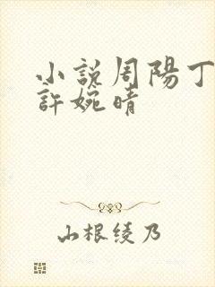 小说周阳丁如颜许婉晴