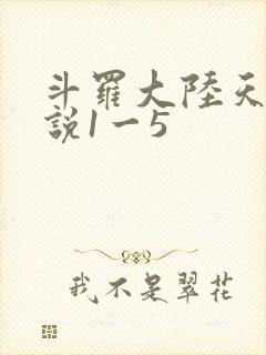 斗罗大陆天狂传说1一5