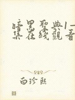 暗黑圣典1—6集在线观看免费