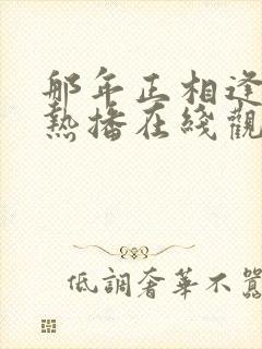 那年正相逢短剧热播在线观看