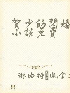 贺少的闪婚暖妻小说免费封面