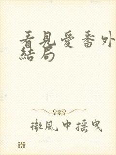 看见爱番外篇大结局