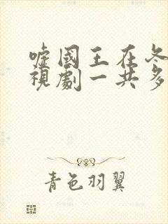 嘘国王在冬眠电视剧一共多少集啊