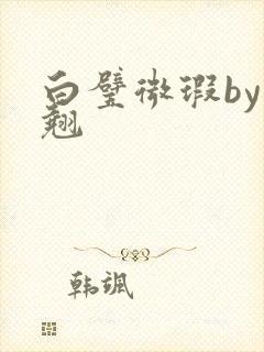 白璧微瑕by连翘