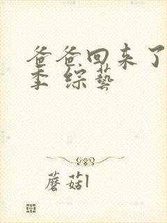 爸爸回来了第一季 综艺