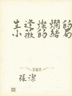 生逢灿烂的日子小薇的结局