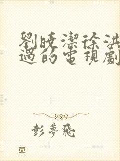 刘晓洁徐洪浩演过的电视剧封面