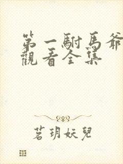 第一驸马爷免费观看全集封面