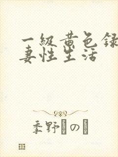 一级黄色录像夫妻性生活