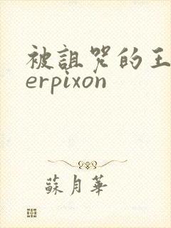 被诅咒的王子derpixon