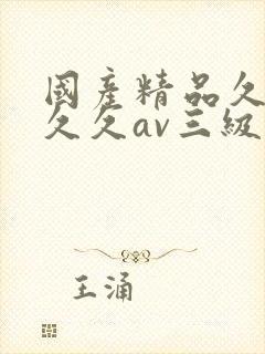 国产精品久久久久久av三级