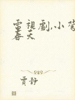 电视剧,小菊的春天