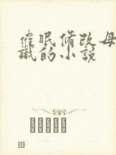 催眠修改母亲常识的小说封面