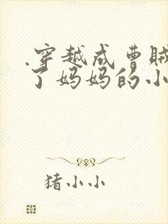 .穿越成曹贼收了妈妈的小说封面