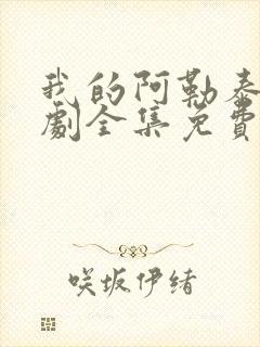 我的阿勒泰电视剧全集免费播放