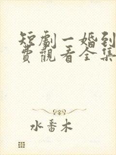 短剧一婚到底免费观看全集高清