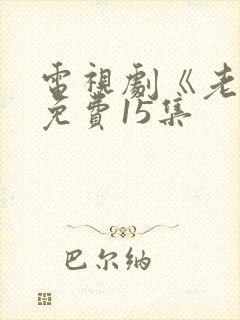 电视剧《老舅》免费15集