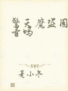 惊天魔盗团三好看吗