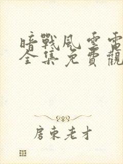 暗战风云电视剧全集免费观看封面