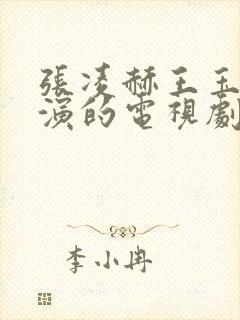 张凌赫王玉雯主演的电视剧封面