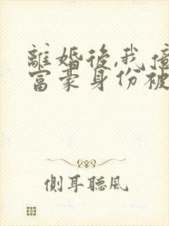 离婚后,我亿万富豪身份被曝光了