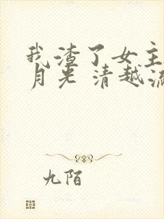 我渣了女主的白月光 清越流歌