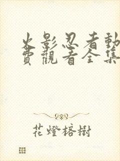 火影忍者动漫免费观看全集