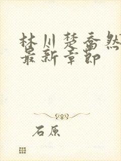 林川楚乔然小说最新章节