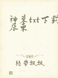 神墓txt下载辰东