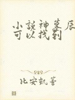 小说神墓辰东哪可以找到