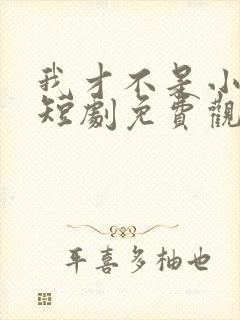 我才不是小可怜短剧免费观看全集