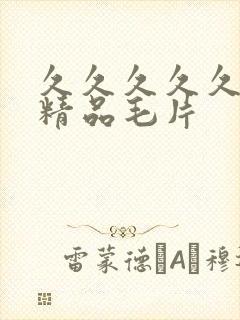 久久久久久国产精品毛片