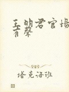 王明君官场笔记有声