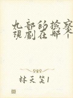 九部的检察官电视剧在哪个台播出