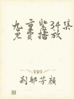 九重紫34集全免费播放封面