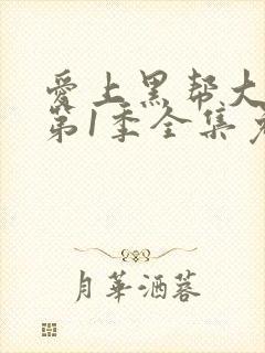 爱上黑帮大佬的第1季全集免费观看