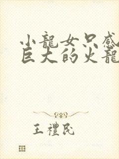 小龙女只感觉那巨大的火龙枪