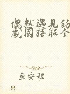 偶然遇见的你韩剧国语版全集免费