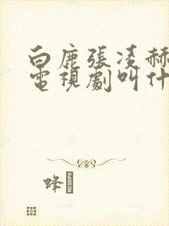 白鹿张凌赫演的电视剧叫什么