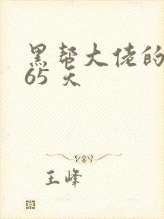 黑帮大佬的 365 天