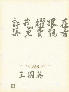 许我耀眼在线全集免费观看电视剧