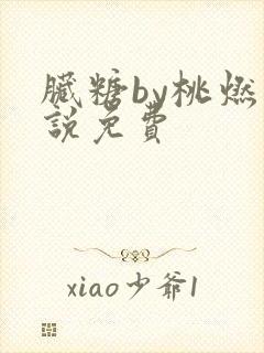 脏糖by桃燃小说免费封面