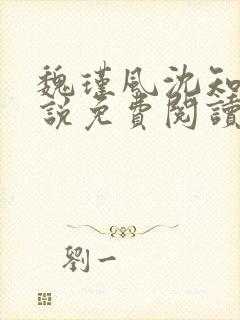 魏瑾风沈知玉小说免费阅读最新章节