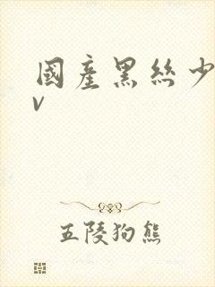 国产黑丝少妇av封面