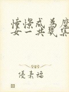 憧憬成为魔法少女一共几集封面