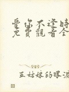 爱你不逢时短剧免费观看全集在线播放