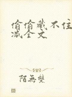 偷偷藏不住无删减全文