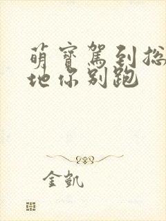 萌宝驾到总裁爹地你别跑