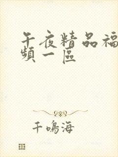 午夜精品福利视频一区