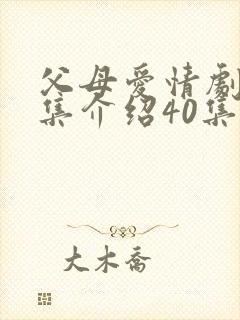 父母爱情剧情分集介绍40集